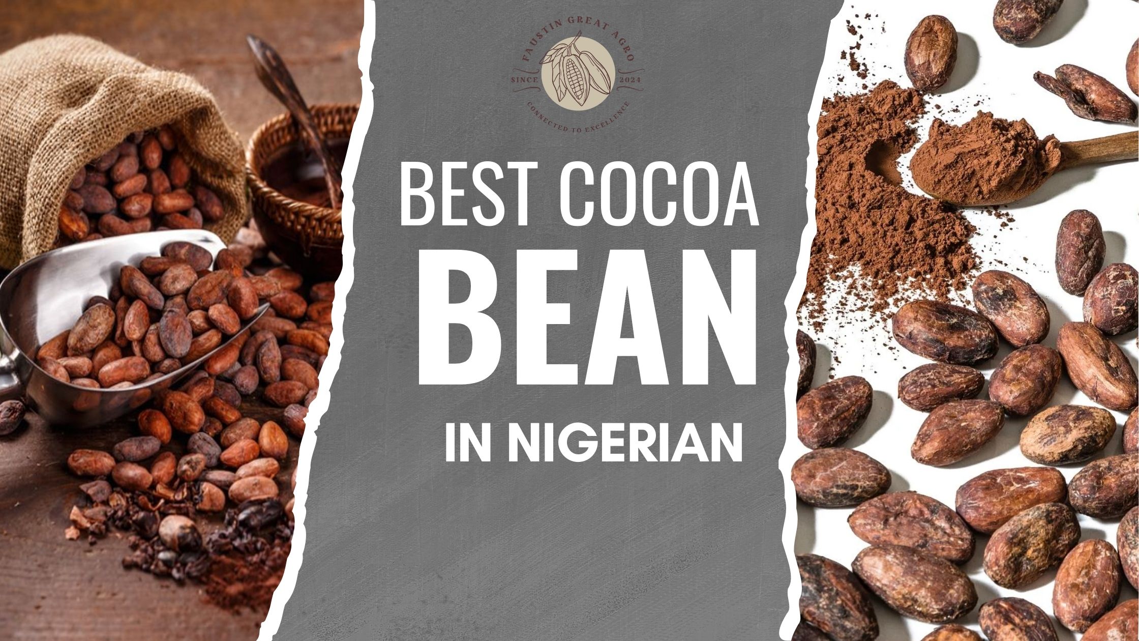 best cocoa bean in nigerian