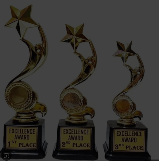Buy Custom Corporate Awards & Trophies Online
