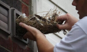 Cape Coral Dryer Vent Cleaning