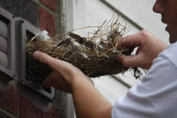 Cape Coral Dryer Vent Cleaning