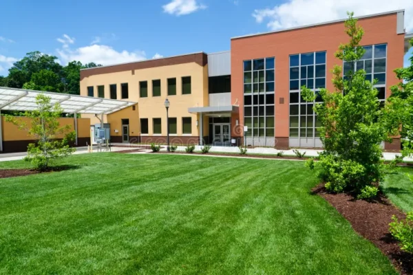 Why Choose Commercial Landscaping Services in Swindon Commercial Landscaping Services in Swindon