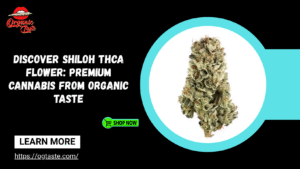 Shiloh thca flower