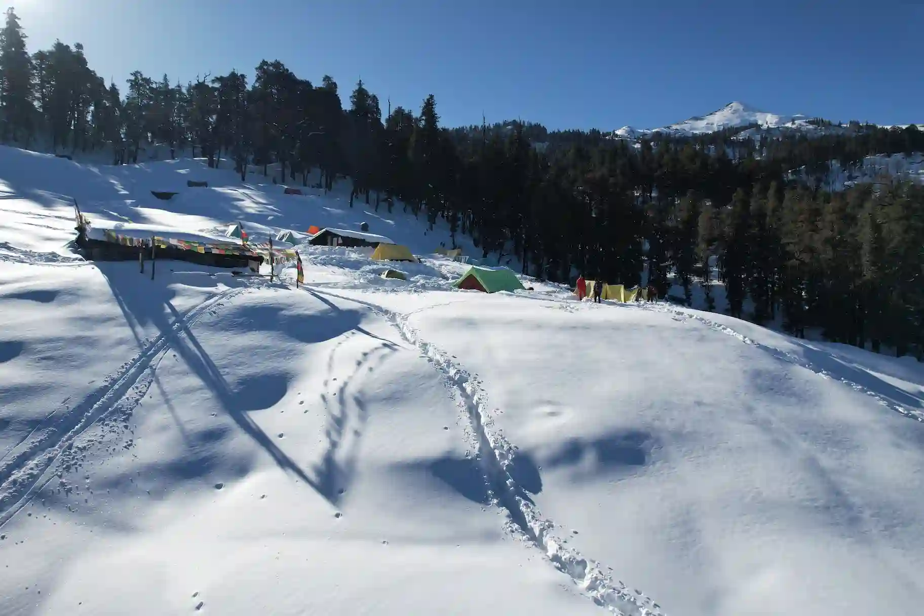 kedarkantha trek
