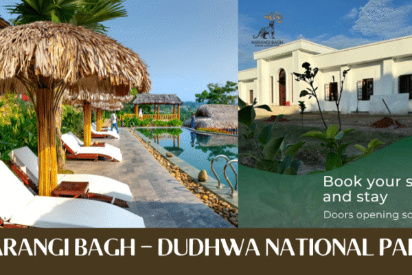Narangi Bagh – Dudhwa National Park | Luxury Hotel & Luxury Homestay Experience Luxury Hotel
