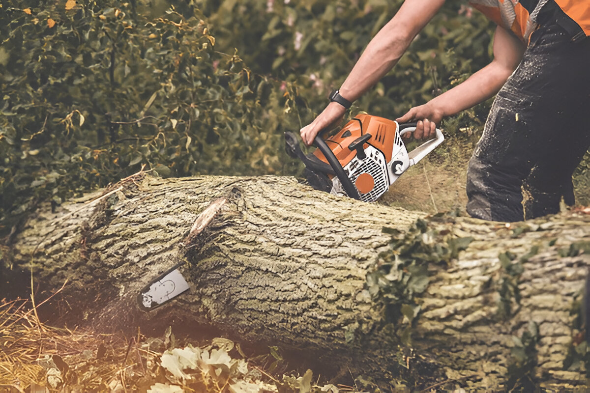 New View Tree Care, LLC
