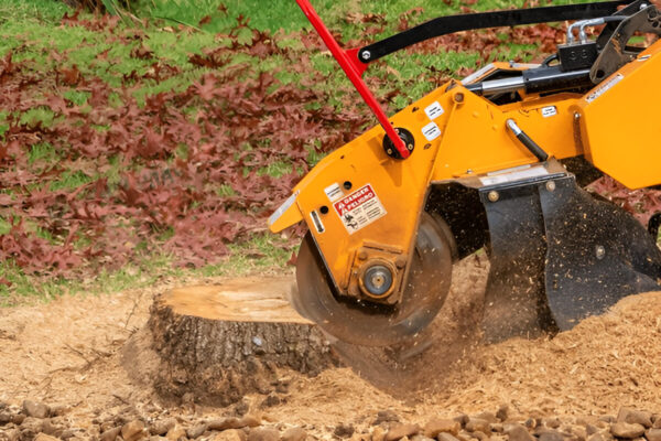 Clear Yard, Strong Trees: How Stump Removal and Tree Care Work Together Stump Removal