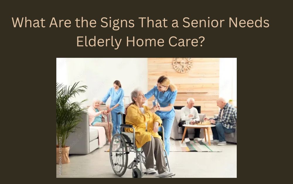 Elderly Home Care