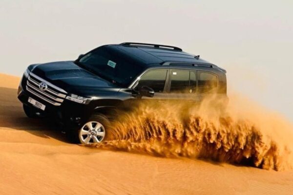 Explore Desert Bliss Before the Heat with a Dubai Morning Safari Tour