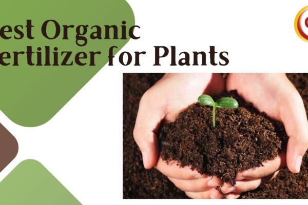 Best Organic Fertilizer for Plants: Eco-Friendly Farming Solution best organic fertilizer for plants