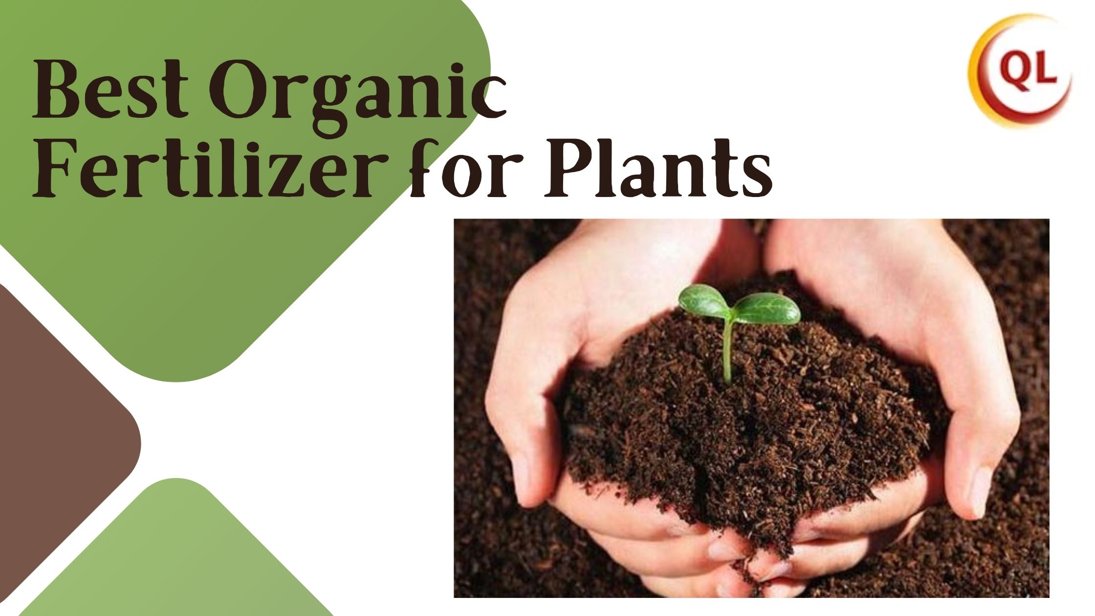 best organic fertilizer for plants
