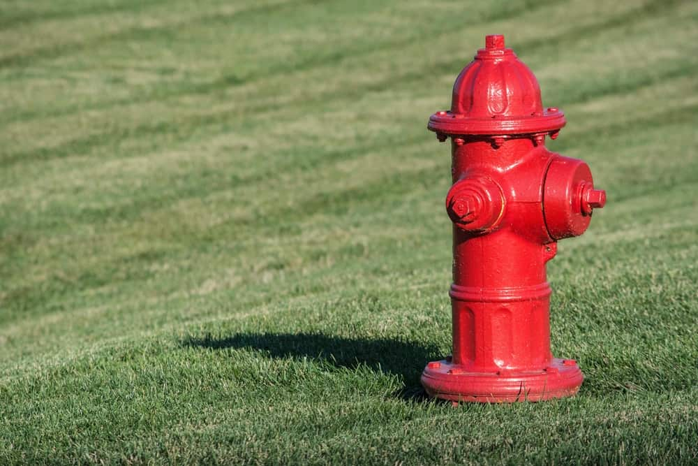 Fire Hydrant Wet Barrel Type