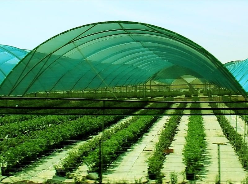 Can Shade Net Improve Crop Protection and Yield?