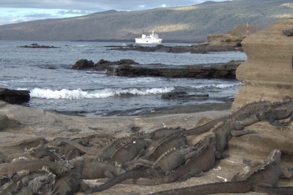 What’s Included in a Private Yacht Charter in the Galápagos? Yacht charter Galapagos