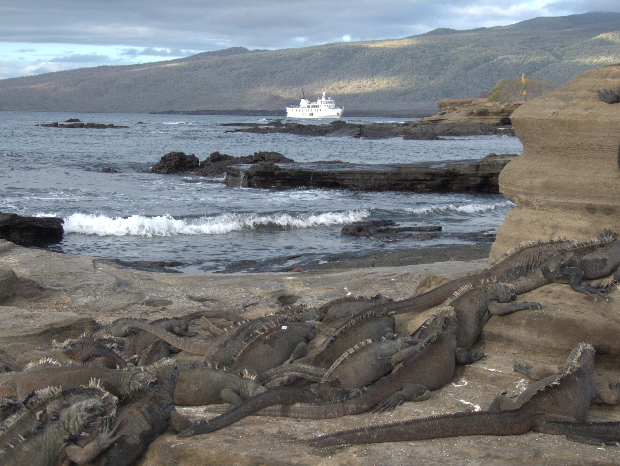 Yacht charter Galapagos