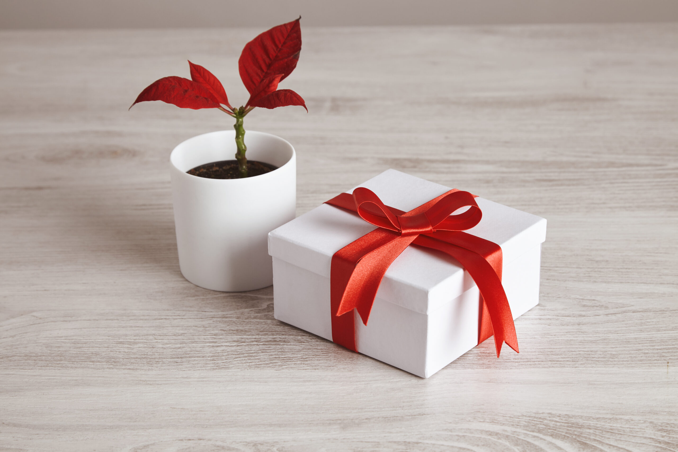 Send Gifts to Bangalore