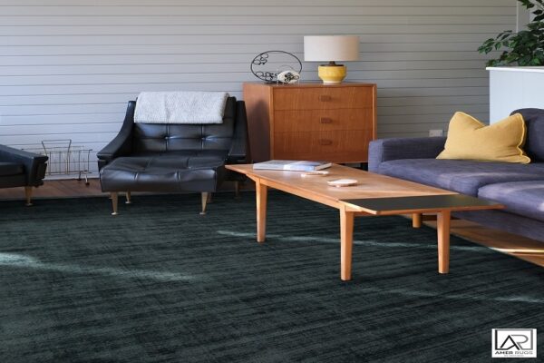 Brown color rugs for living room