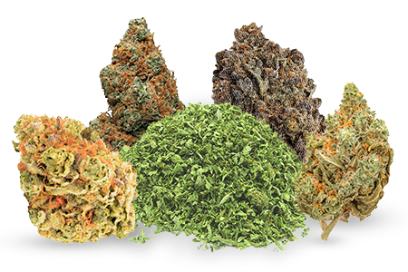 Cannabis Marijuana Flowers