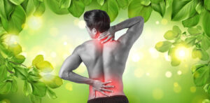 Ayurveda for weight loss