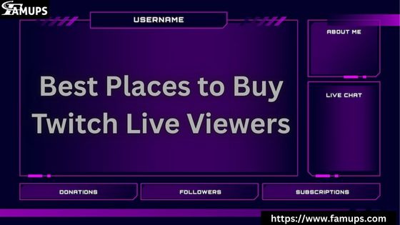 Best Places to Buy Twitch Live Viewers