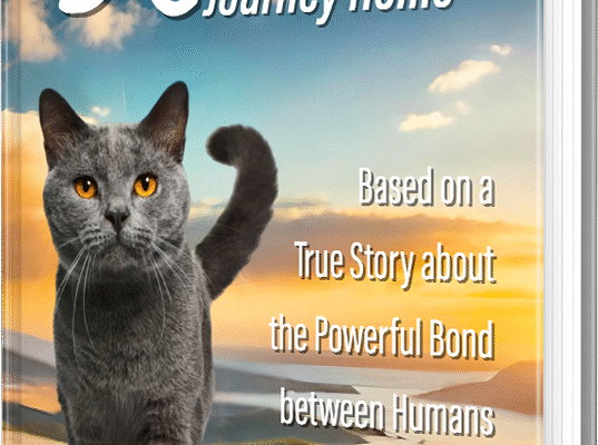 How Laurie Becvar Book Teaches Us About the Power of Love and Loyalty Laurie Becvar Book