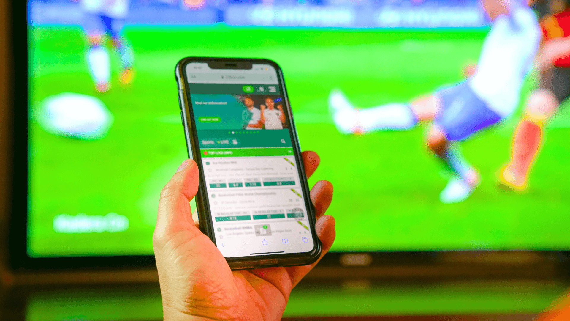 Sports Betting Software Development Company