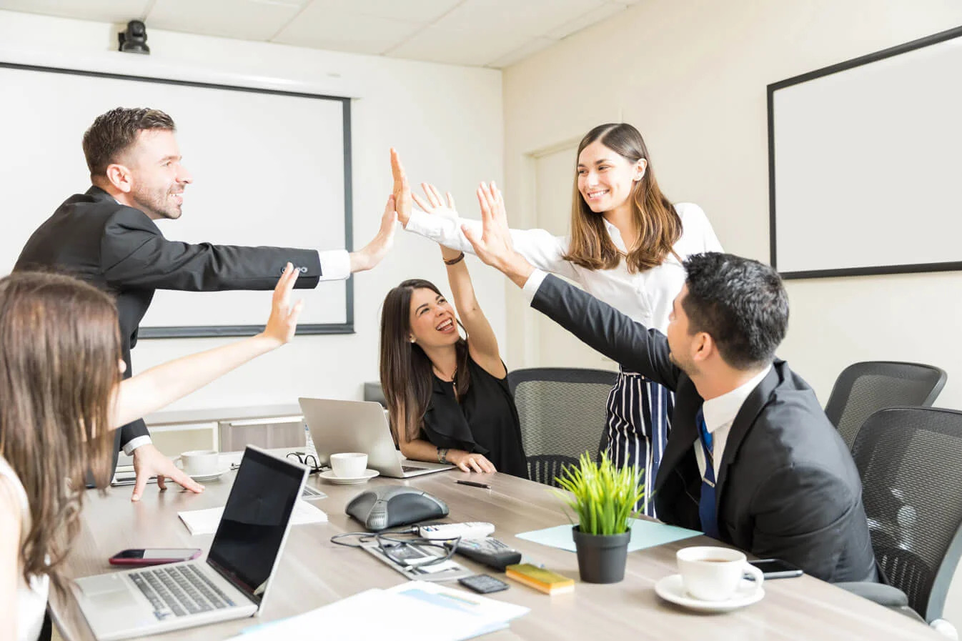 Website development company in bareilly