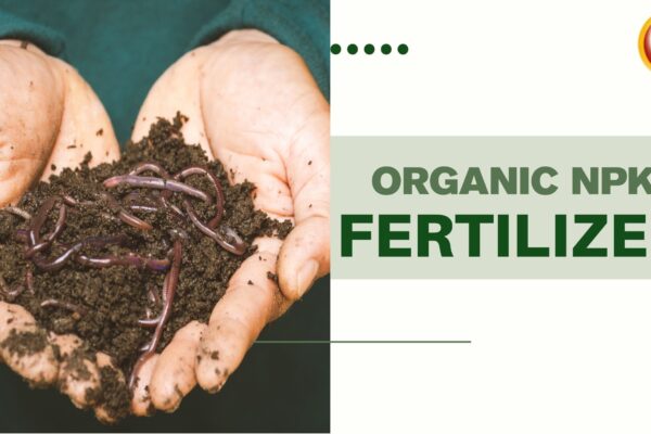 organic NPK fertilizer