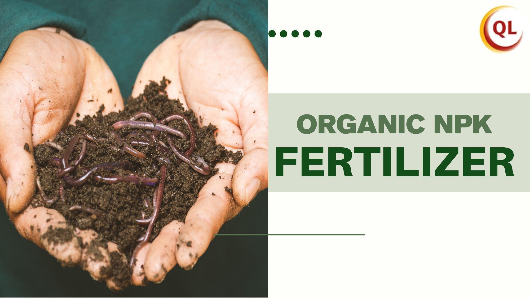 organic NPK fertilizer