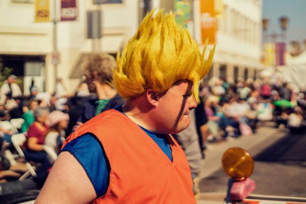 Dragon Ball Z Stylish Hoodies