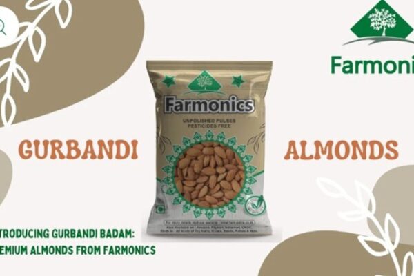 Gurbandi Almond