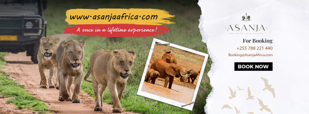 asanjaafrica